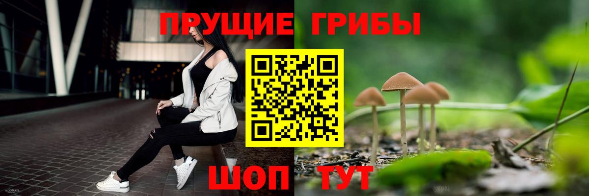 Рославль  Галлюциногенные грибы ЛСД  Вход с VPN 